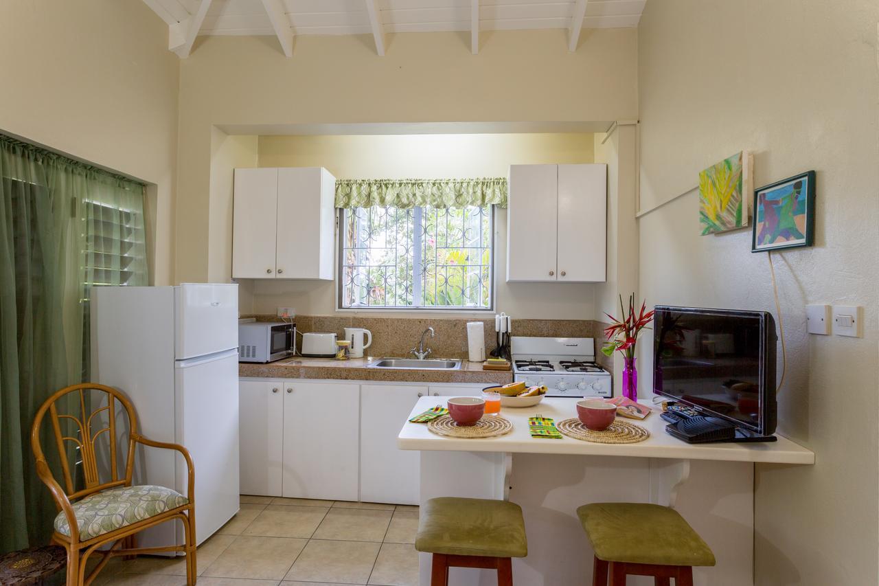 Smithy'S Eco-Apartment Morne Jaloux Ridge Exterior photo